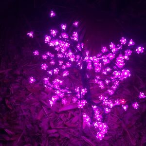 Meet your Posher, Zeida